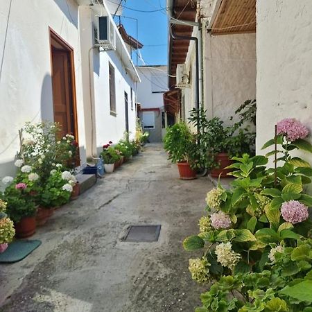 Herta Apartment Berat Luaran gambar