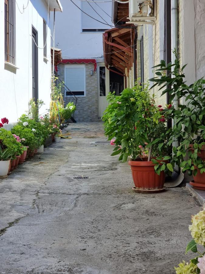 Herta Apartment Berat Luaran gambar