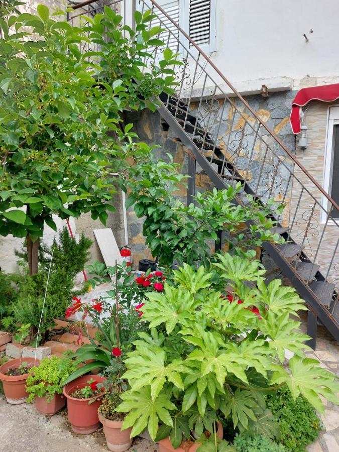 Herta Apartment Berat Luaran gambar